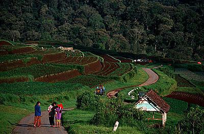 Sumber Brantas, Jawa Timur, Indonesia