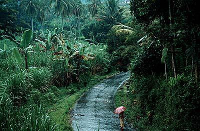 Tumpang. Jawa Timur, Indonesia Tumpang. Jawa Timur, Indonesia