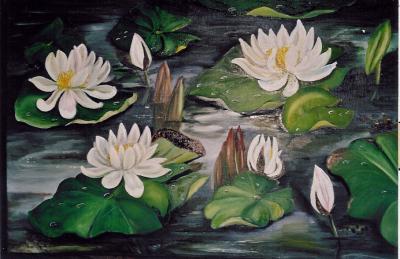 WITTE WATERLELIES (2) WITTE WATERLELIES (2)