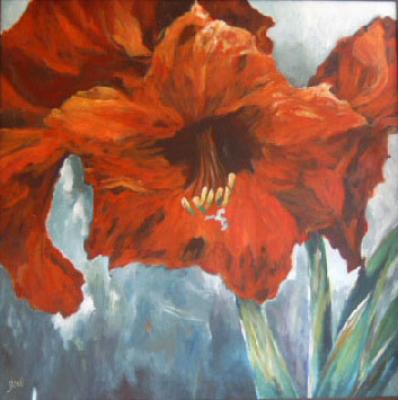 Red Amaryllis Red Amaryllis