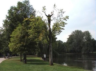 Oosterpark