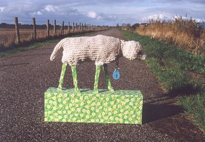 Schaap 9 Schaap 9
