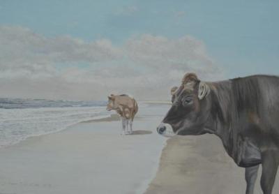 twee koeien strand twee koeien strand