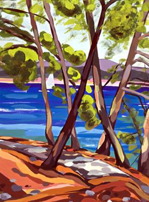 Brijuni: Through the Trees Brijuni: Through the Trees