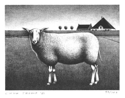Schaap Schaap