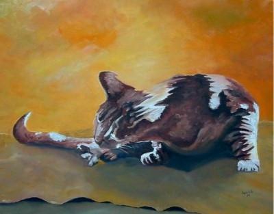 wassende kat wassende kat