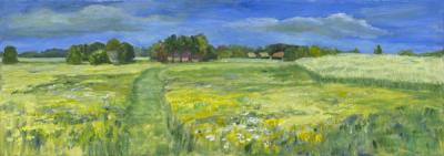 Drents landschap Drents landschap