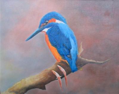 IJsvogel IJsvogel