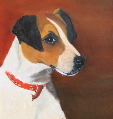 Jack Russel