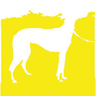 grijze hond grijze hond