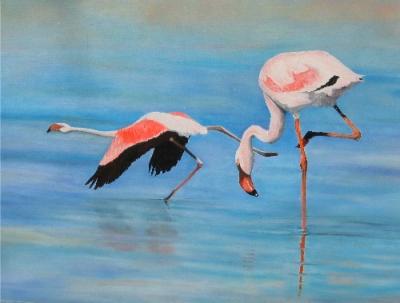 Flamingo Flamingo