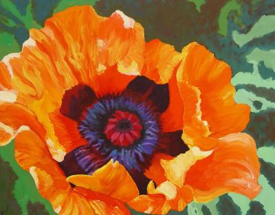 papaver four