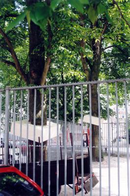 WhitE Elements (1a.) / Rotterdam / Baum 4 & 5 WhitE Elements (1a.) / Rotterdam / Baum 4 & 5