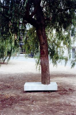 Baum 1. Berlin Baum 1. Berlin