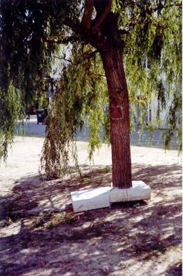 Baum 1. After Baum 1. After