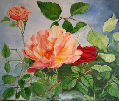 Bloemen: . Wilde Roos(2) Bloemen: . Wilde Roos(2)