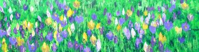 crocussen crocussen