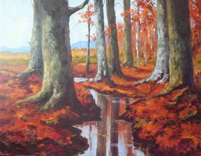 herfstbosgezicht - 0555 - herfstbosgezicht - 0555 -