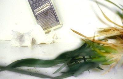 easy kit/leaves easy kit/leaves