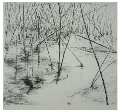 landschap 1 landschap 1