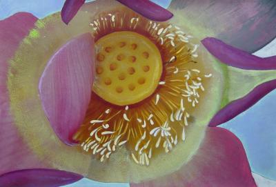 flower2 flower2