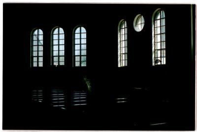 plantenverschijning in kerk plantenverschijning in kerk