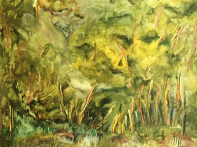 landschap 2 landschap 2