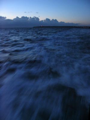 sea1 sea1