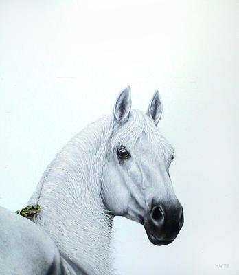 PRINS OP HET WITTE PAARD PRINS OP HET WITTE PAARD