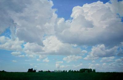 legaal grijnzend twee Dick van Belle - (68) weiland en wolken (schilderijen/olieverf)