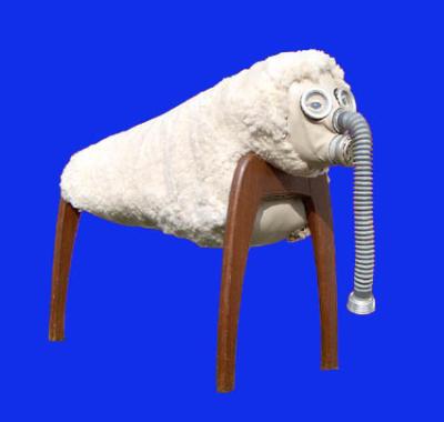 lamb lamb