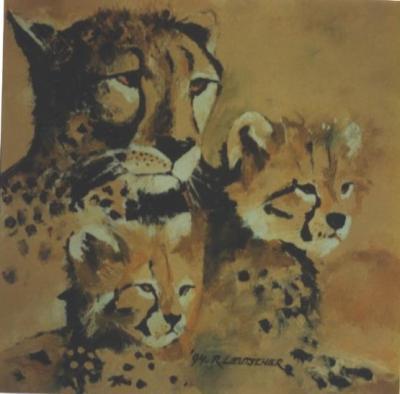 cheetah 2 cheetah 2