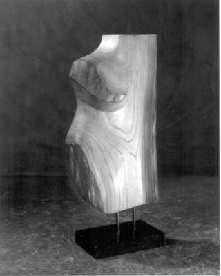 TORSO TORSO