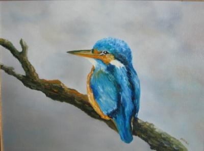 IJsvogeltje IJsvogeltje