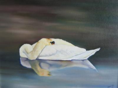 zwaan zwaan