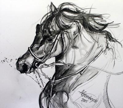 Paard2 Paard2