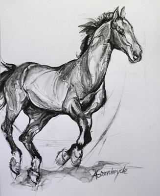 Paard 5 Paard 5