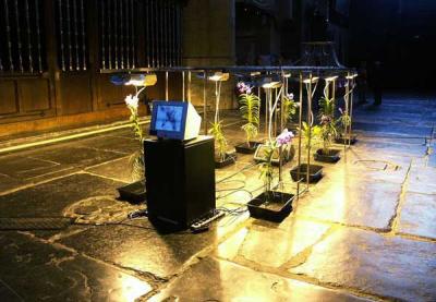 Life Support Systems: Vanda Life Support Systems: Vanda
