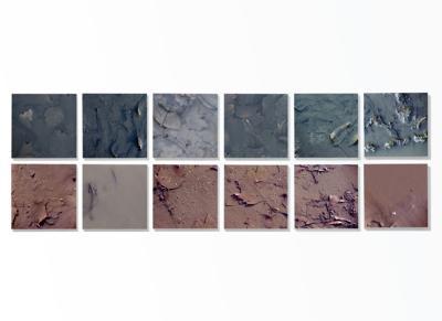 Composition Of The Decline Composition Of The Decline