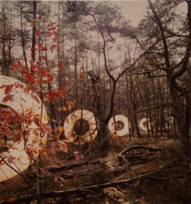 cirkels in het bos 