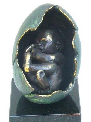 embryo in eggshell embryo in eggshell
